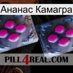 Ананас Камагра 01